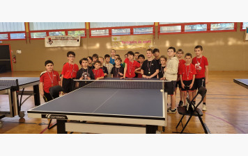 Circuit découverte à Savenay